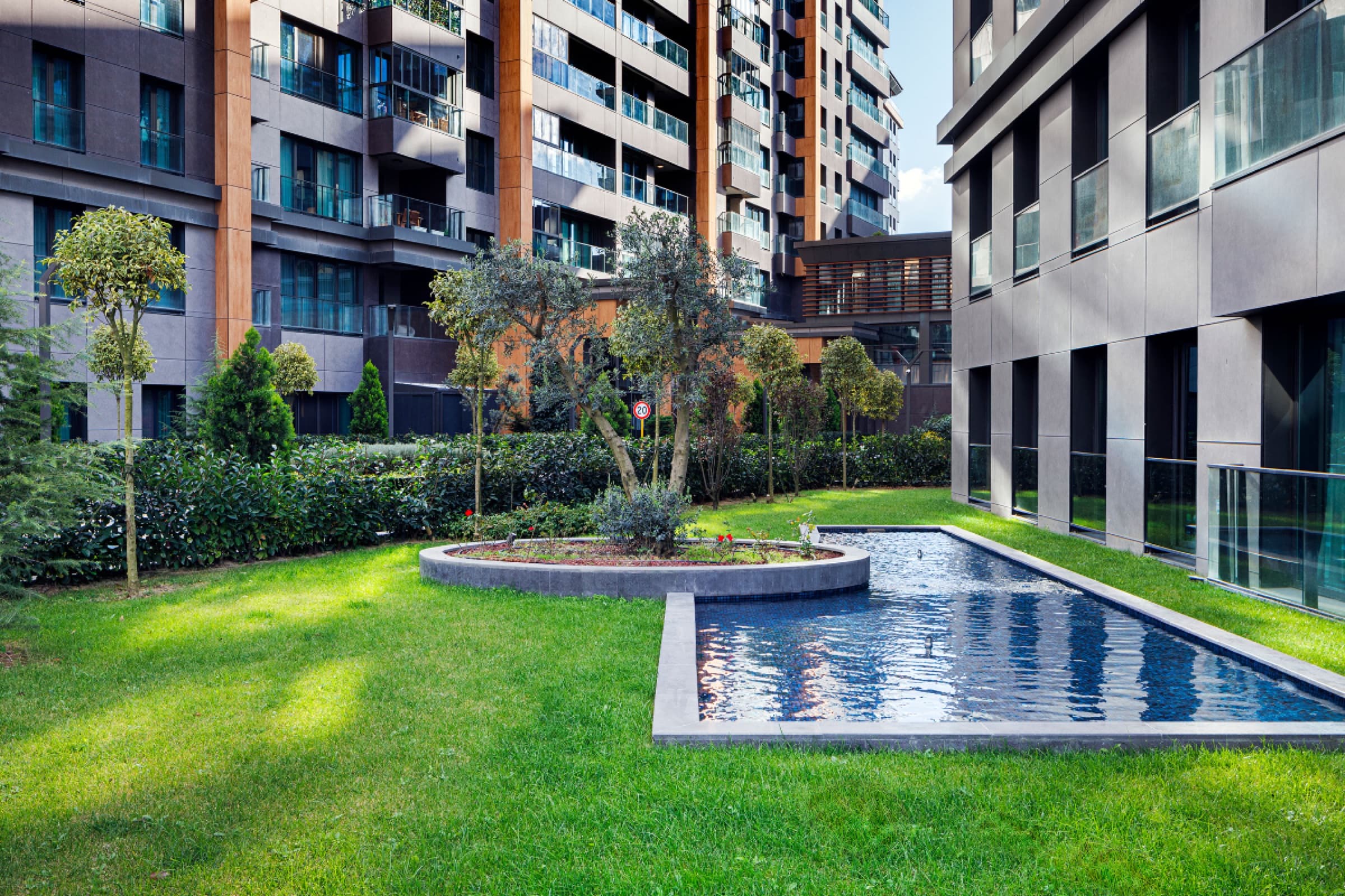 Courtyard garden with a reflecting pool and a mature olive tree between the blocks