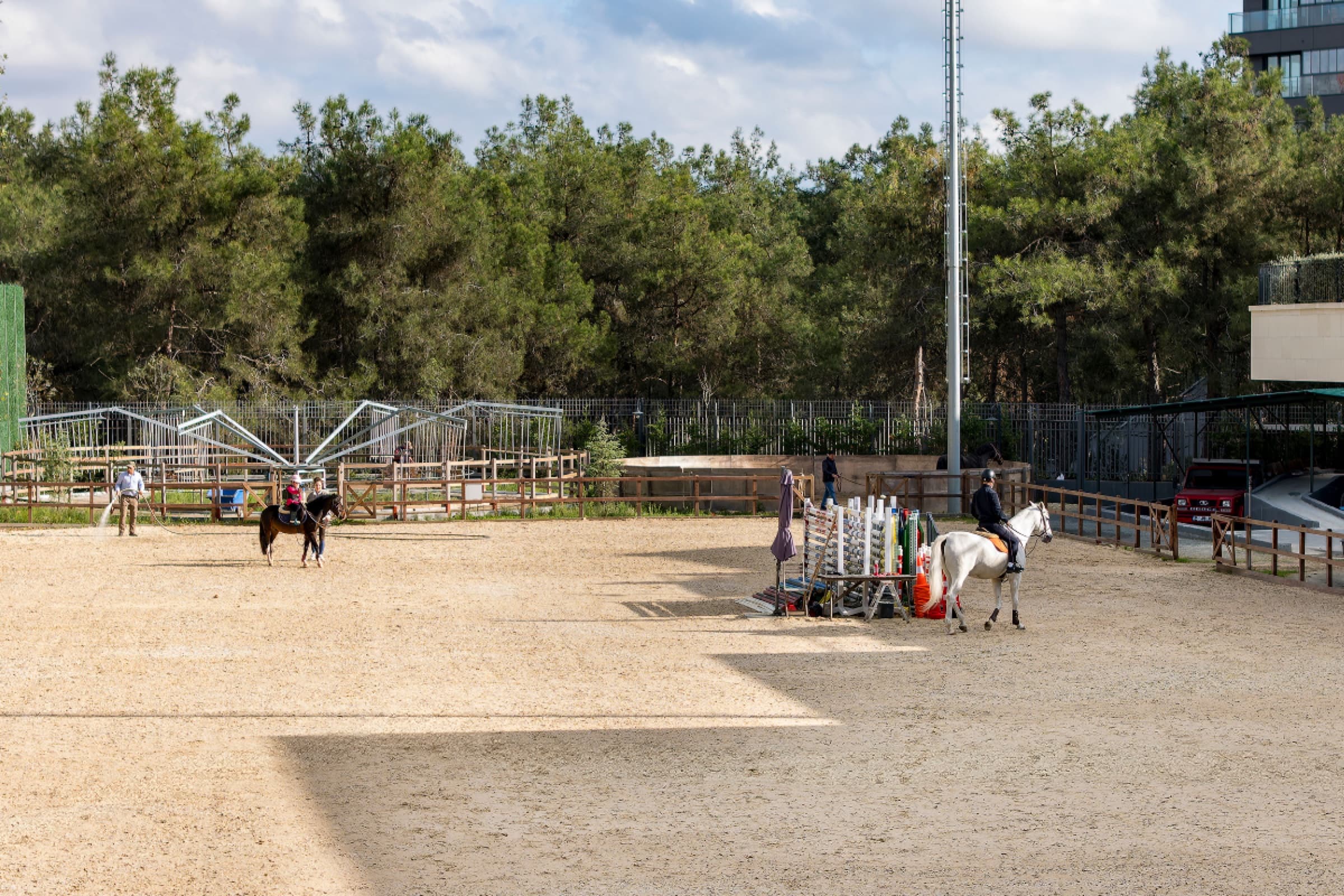 Riders and horses in the equestrian arena beside the site, the pine forest behind