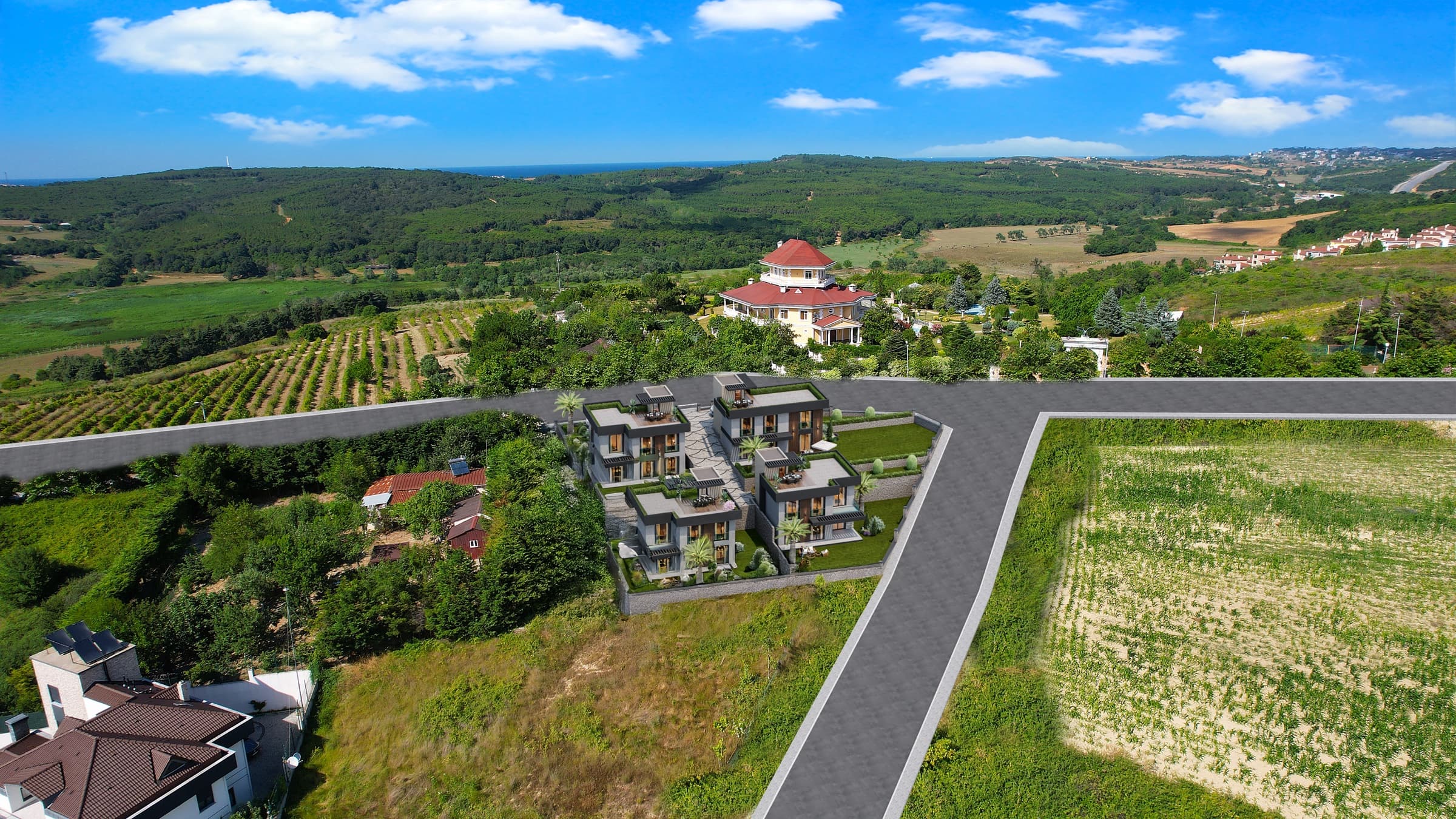 Yeşilce Villaları shown on an aerial view looking away from Durusu, the villas beside a farm track with vineyards and a cornfield either side, wooded hills beyond and the Black Sea on the far horizon — artist's impression